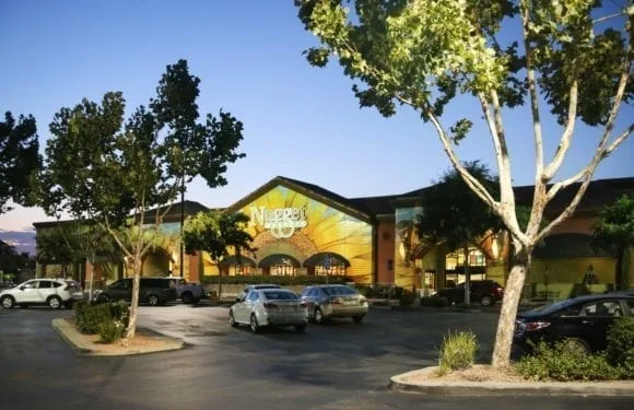 NuggetMarket7 580x375 - Nugget Markets