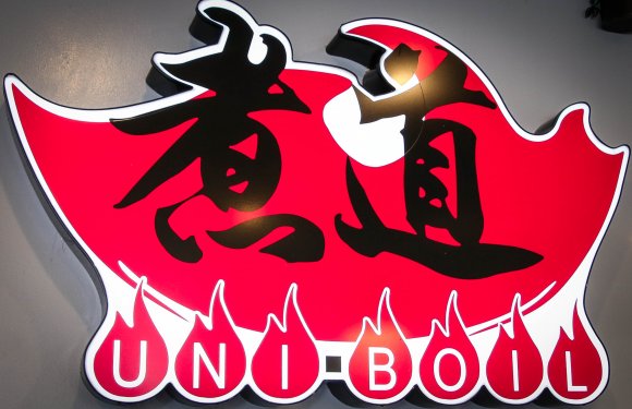 IMG 9227 580x375 - Uniboil