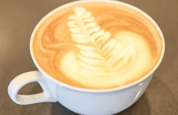 IMG 9359 580x375 - Peets Coffee